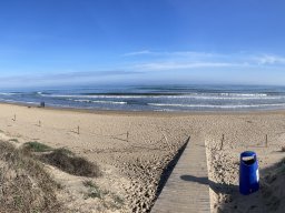 155-01-01-2026 IMG_6490